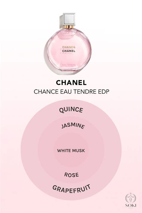 what are the fragrance notes in chance by chanel|Chanel chance smells like.